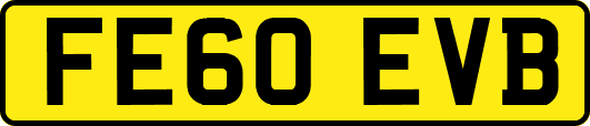 FE60EVB