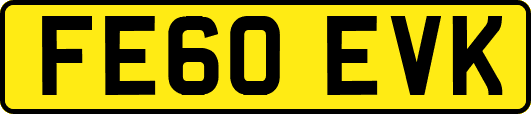 FE60EVK