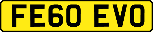 FE60EVO