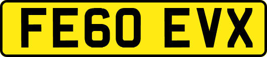 FE60EVX
