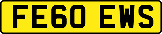 FE60EWS