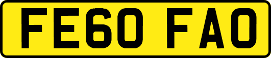 FE60FAO