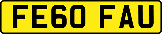 FE60FAU