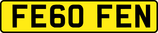 FE60FEN