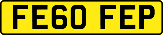 FE60FEP