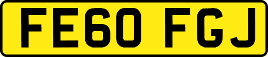 FE60FGJ
