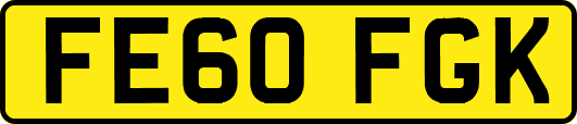 FE60FGK