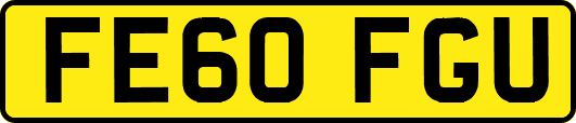 FE60FGU