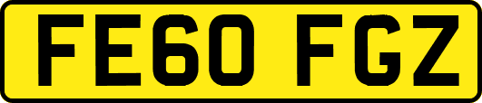 FE60FGZ