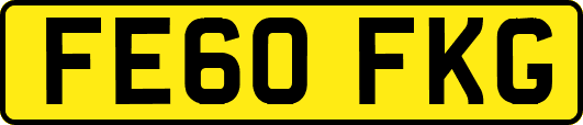 FE60FKG