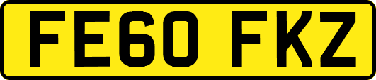 FE60FKZ
