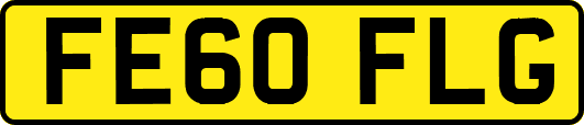 FE60FLG