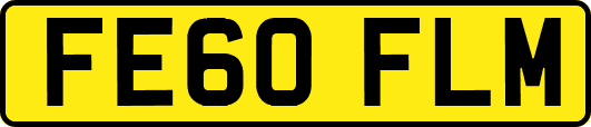 FE60FLM