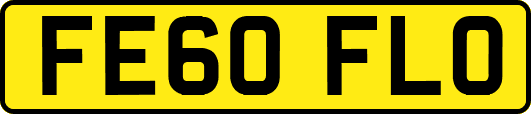 FE60FLO