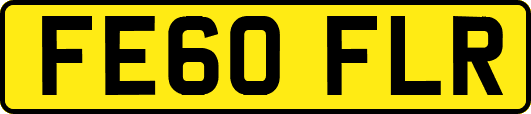 FE60FLR