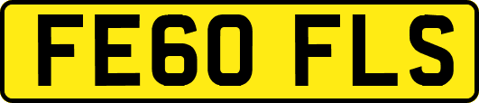 FE60FLS