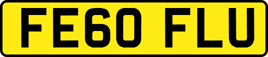 FE60FLU