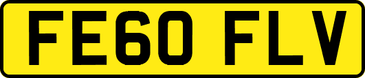 FE60FLV