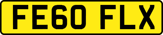 FE60FLX