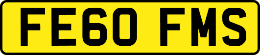 FE60FMS