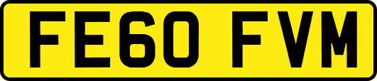 FE60FVM