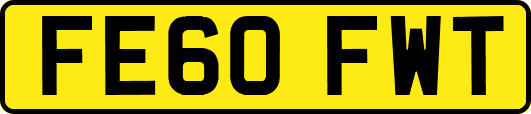 FE60FWT