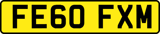 FE60FXM