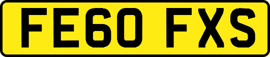 FE60FXS