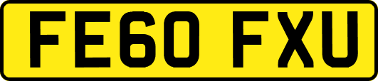 FE60FXU