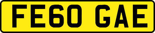 FE60GAE