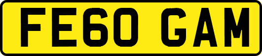 FE60GAM