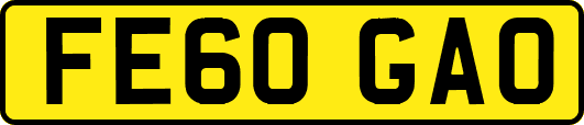 FE60GAO