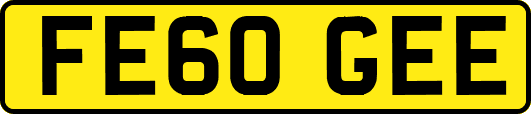 FE60GEE