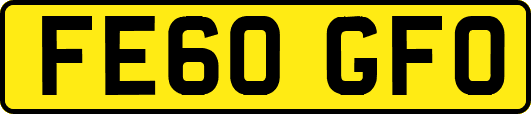 FE60GFO