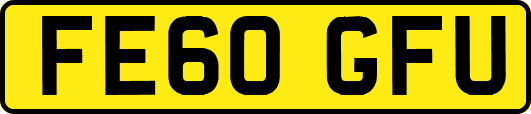FE60GFU
