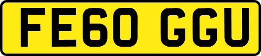 FE60GGU
