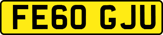 FE60GJU