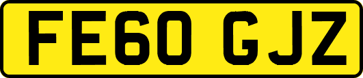 FE60GJZ
