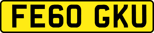 FE60GKU