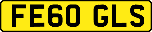 FE60GLS