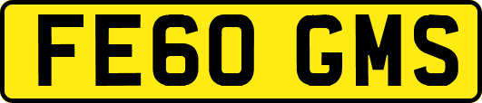 FE60GMS
