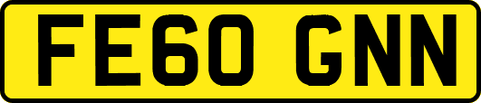FE60GNN