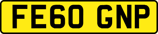 FE60GNP