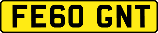 FE60GNT