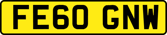 FE60GNW