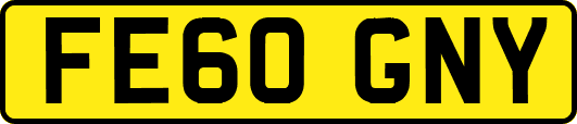 FE60GNY