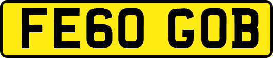 FE60GOB