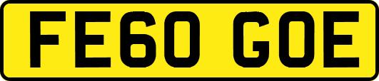 FE60GOE