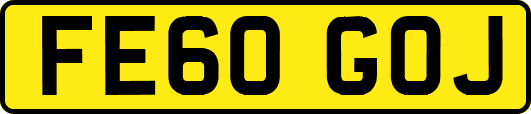 FE60GOJ