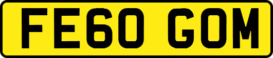FE60GOM